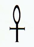 Ankh