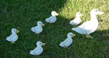 Duck Family 